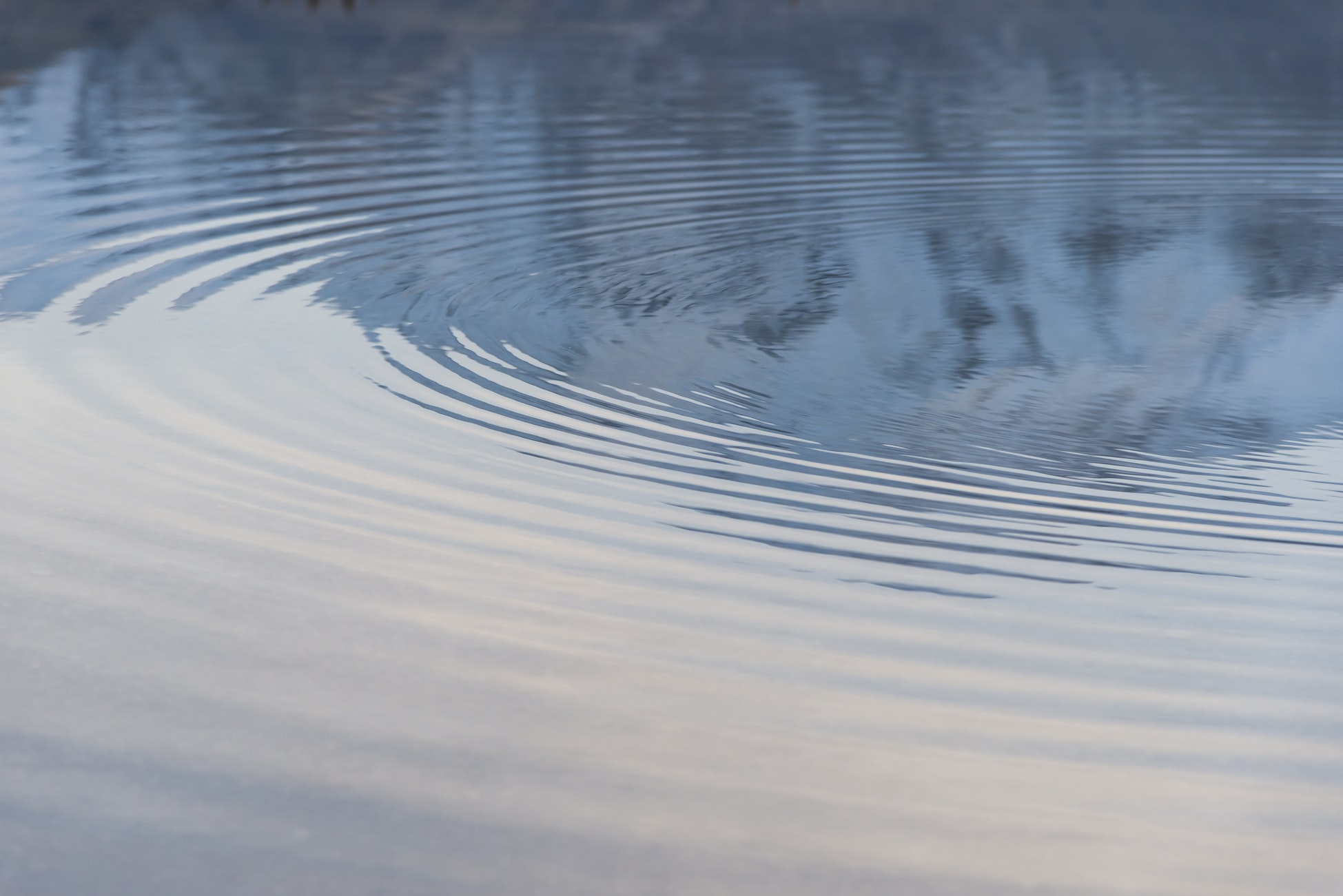 Ripple across water, reflecting faint sunlight.